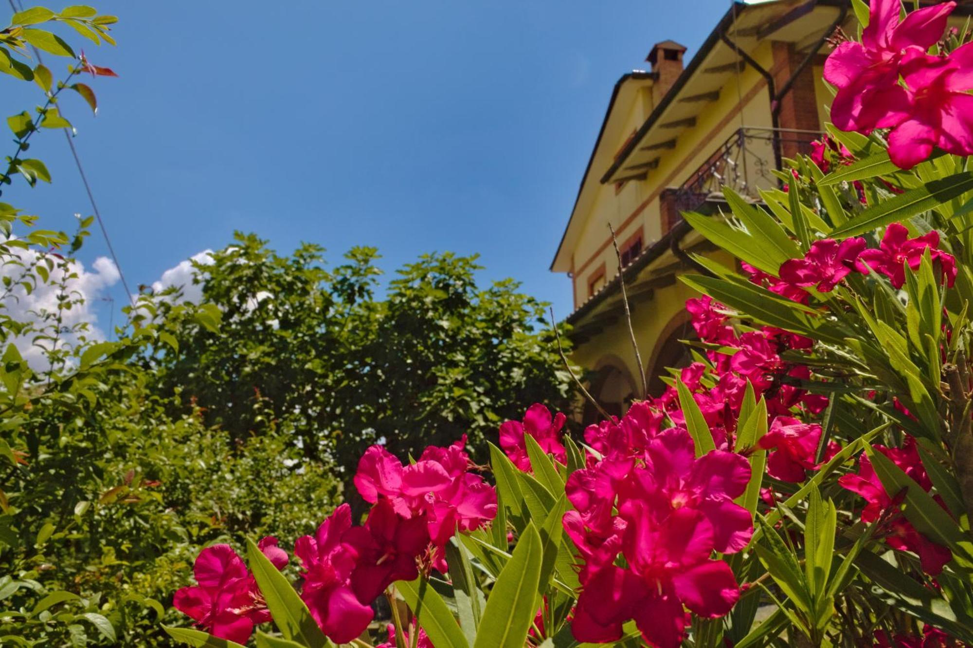 Cetine Vecchie Villa Torrita di Siena Exterior photo